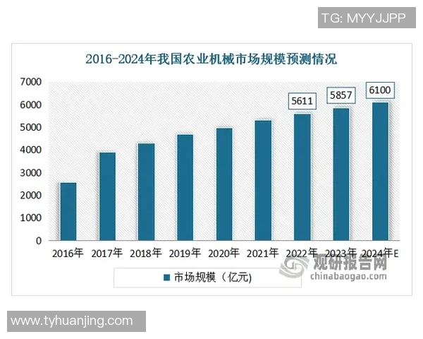 网球运动发展历程、技术创新与全球化趋势的深入分析